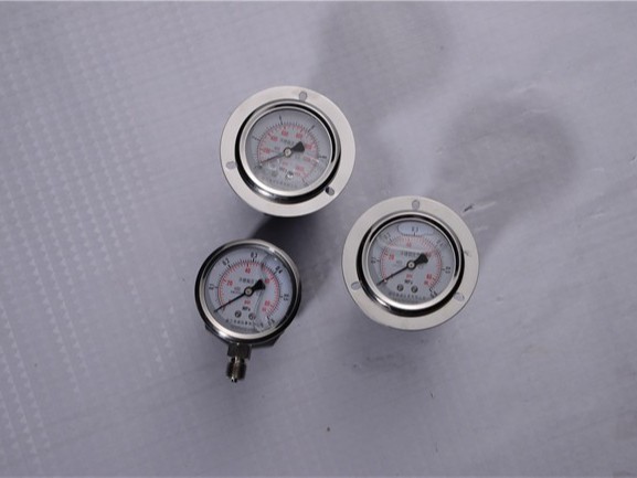 压力表 压力表